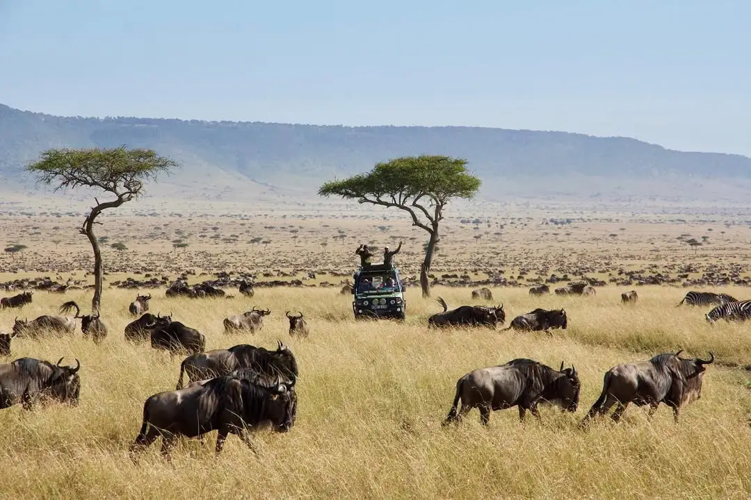 Differences Between Conservancies and National Reserve in Mara